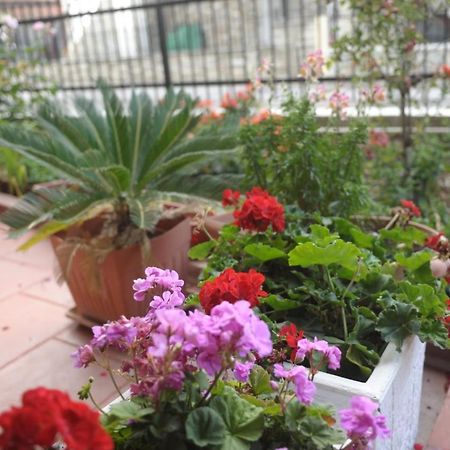 Sea View Apartments Artemis Лептокария Екстериор снимка